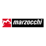 marzucchi pump motor